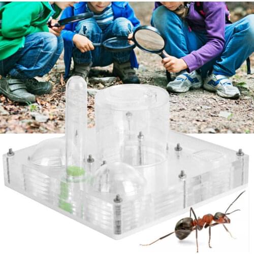 Greensen Products For Beekeeping