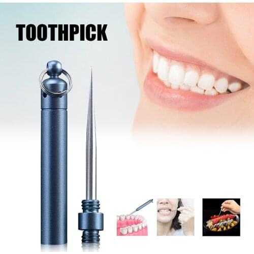 Portable Stainless Steel Toothpick Reusable Detachable Metal Tooth Food Picker with Holder High Temperature Available Health99