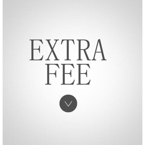 Item Type Extra Fee; Additional Pay on Your Order or for the costs of Shipping or Extra Fee