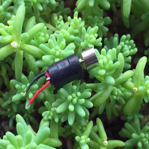 Sanyo DC 1.5V-6V 3V 3.7V 0408 Coreless Vibration Motor with Rubber Sleeve Hammer Head Hollow Cup Precision Electric DC Vibrator