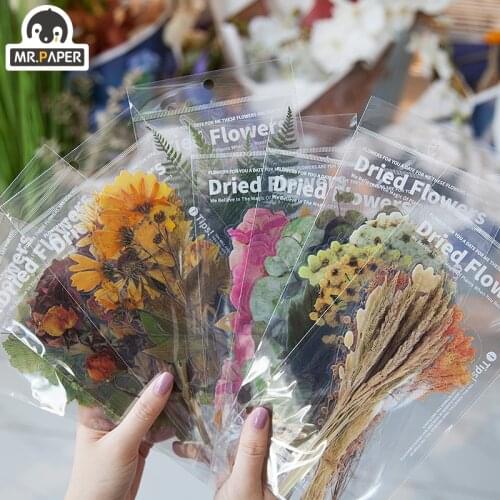 SaYing 6 Pcs Weekend Flower Shop PET Sticker Transparent Large Kawaii Sticker Dried Plant Collage Material Decoration Stationery