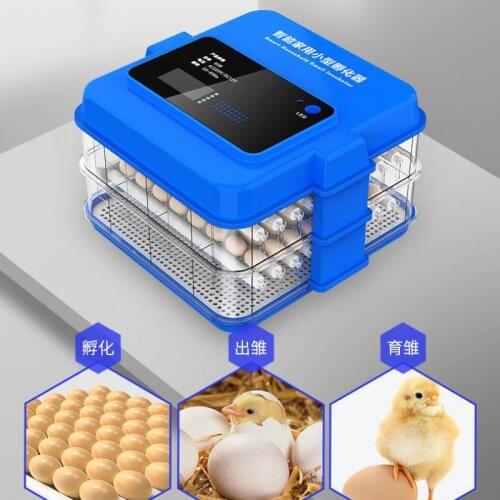 Chicken, Duck, Goose, Water Bed Incubator, Incubator, Incubator, Incubator, Chicken, Small Household, Full-automatic, Intelligen