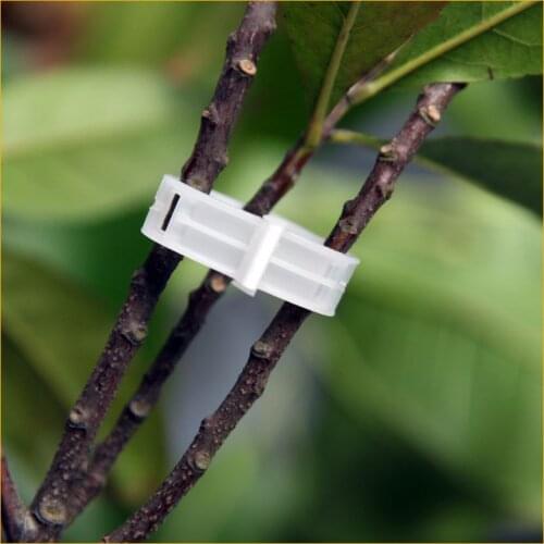 50/100 Pcs Plastic Plant Support Clips for Tomato Hanging Trellis Vine Connects Plants Greenhouse Vegetables Garden Ornament
