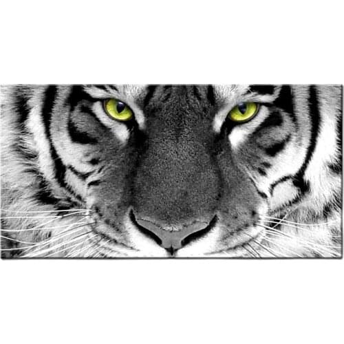 DIY Animal Full Square Diamond painting Black White Tiger diamond embroidery 5D cross stitch Diamond mosaic 2021 gift I70