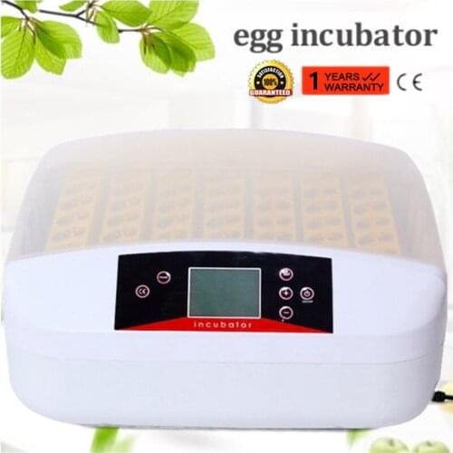 Automatic Egg Incubators China 56 Fully Hatchery Machine Mini Chicken Sale Auto Turn for Duck Pigeon Quail Parrot