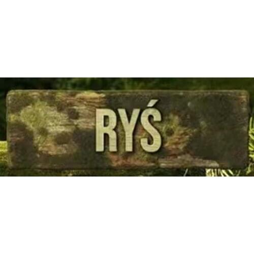 New Gang Fajniakow Fajni Funny Sweetie Forest Animal Gang Swojakow Plush Toy Celinka Sonia Stefek Frania Piotrus Dobromir Gift