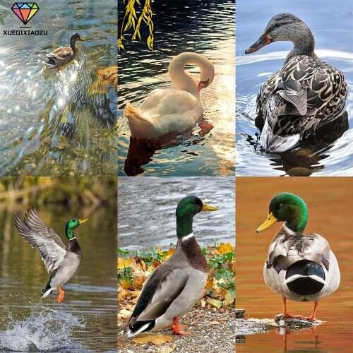 XUEQIXIAOZU Full Round duck Diamond drawing Mosaic painting 5D DIY Diamond setting Home decoration gifts brain game