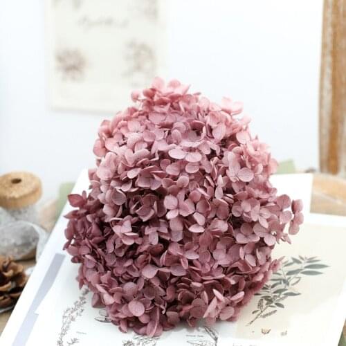 Dried flower Flesh color 20G DIY material Grade A Anna Folium Hydrangea polychrome wedding decoration table
