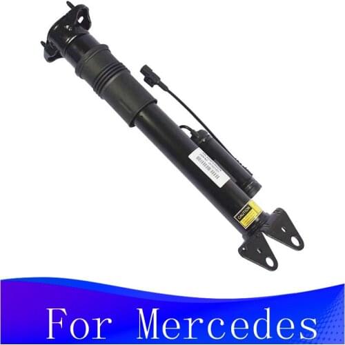 AP02 Rear Air Spring R350 Shock Absorbers Air Suspension Air Ride Strut Assembly 2513202931 for Mercedes W251 R320 R500