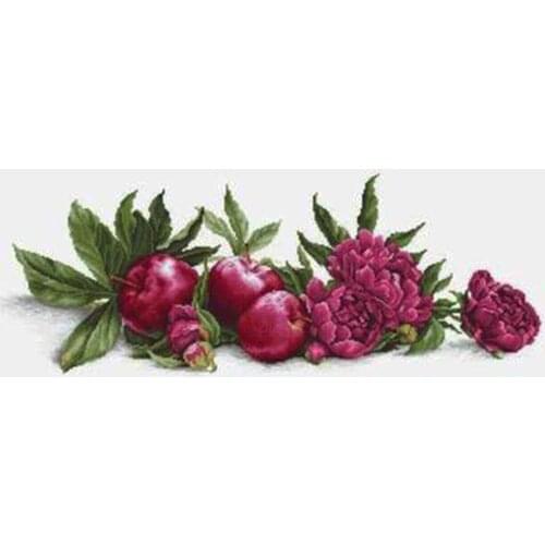 ZZ5007 For Needlework Kit NOT PRINTED Cross stich Painting Set Cross Stitch Kits Cross-stitch Embroidery Set Stitch Kits Cross