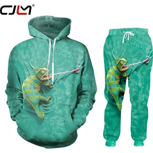 CJLM Men/woman Fashion Clothing Set Sweatshirt+pants 2 Piece Tracksuits Funny Green Lizard 3D Print Suits Hiphop Pullover
