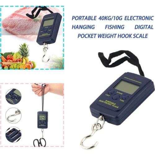 10G/40Kg Professionele Pocket Mini Elektronische Vissen Schaal Handige Schaal Bagage Karpers Haak