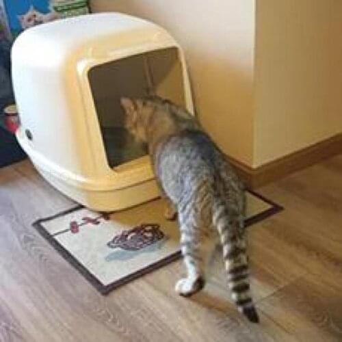 Large Cat Sand Pot Fully Closed Anti-splash Toilet Cat Pot Anti-stink Cat Pot Automatically Extra Large