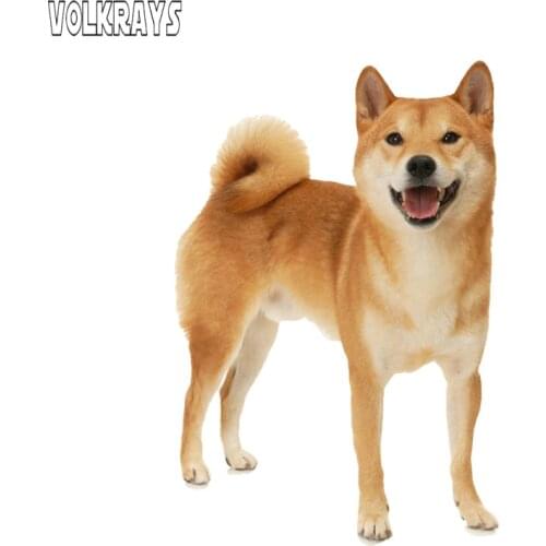 Volkrays Lovely Car Sticker Akita Dog Sticker Waterproof Sunscreen Cover Scratch Decal Decoration Accessories PVC,15cm*10cm