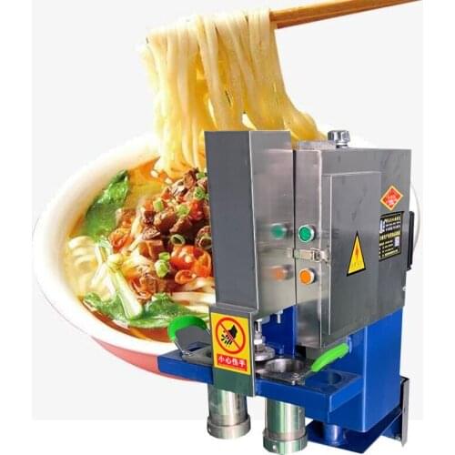 Commercial noodle machine Stainless Steel electric pasta machine Large Noodle Making Machine self cooked small Food Machinery