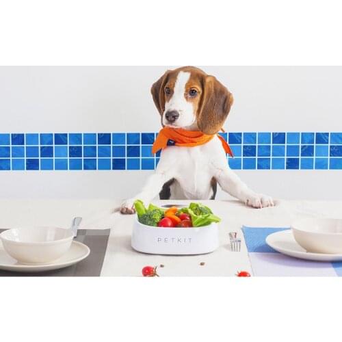 Petkit Smart Dog Bowls Feeding Safe Anti-microbial Dog Bowl Feeder Drinking Cat Bowl Non Slip for Pet Smart Dogs Water Feeder