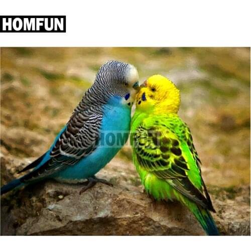 HOMFUN Full Square/Round Drill 5D DIY Diamond Painting "Lovers bird" Embroidery Cross Stitch 5D Home Decor Gift A01803