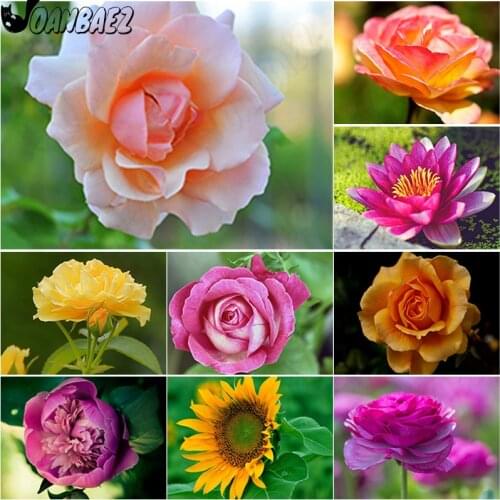 Rose Diamond Painting Cross Stitch Embroidery Flower Plant 5D Diy Mosaic Kit Hand-Inlaid Craft Gift Design Home Decoration