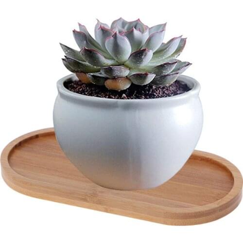 Oval Shape Bamboo Wood Saucer Plant Tray Mini Plant Flower Pot Stand Favor Succulent Pot Tray Simple Elegant Design Home Balcony