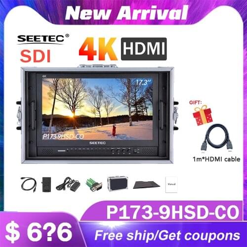 SEETEC P173-9HSD-CO 17.3 Inch IPS 3G-SDI 4K Broadcast Monitor with AV YPbPr Carry-on LCD Director Monitor with Suitcase