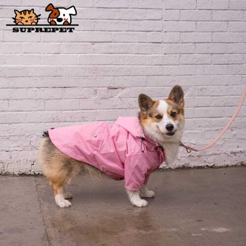 THE DOG FANS Clothes And Footwear For Dogs