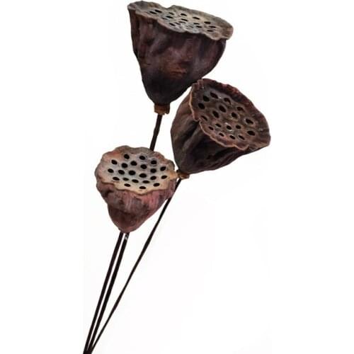 Natural dried flowers Lotus root Florists Home Decor Crafts Christmas New Year lotus pod with stem Wedding Decor