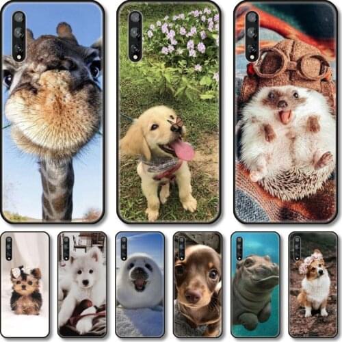 Cute animals Phone Case For Huawei Y 5 6 7 8 9 A P S Pro 2020 2019 Black Shell Cover