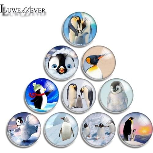 12mm 10mm 16mm 20mm 25mm 30mm 541 Penguin Mix Round Glass Cabochon Jewelry Finding 18mm Snap Button Charm Bracelet