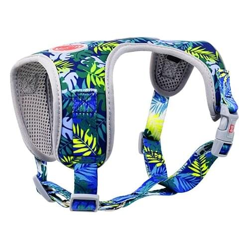 Pet T-shaped Adjustable Harness Convenient and Comfortable Dog Breathable Mesh Escape Proof Design Suit Dog Harness Leash Set