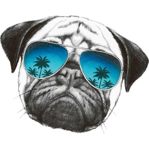PVC Patch deal with it Clothes Fabric sunglasses dog Heat Transfer Printing T shirt girl iron on patches for clothing Stickers