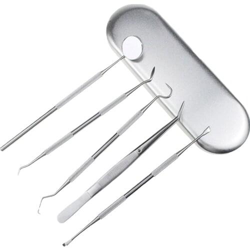 Dental Scaler Tools For Dog Dental Cleaning Pet Care Tooth Scraper Pet Care Dog Dental Cleaning Stainless Steel Double Head