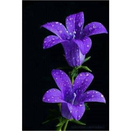 Dark purple flower DIY Diamond Painting "beautiful flowers" Full Diamond Embroidery Cross Stitch Rhinestone Mosaic Painting