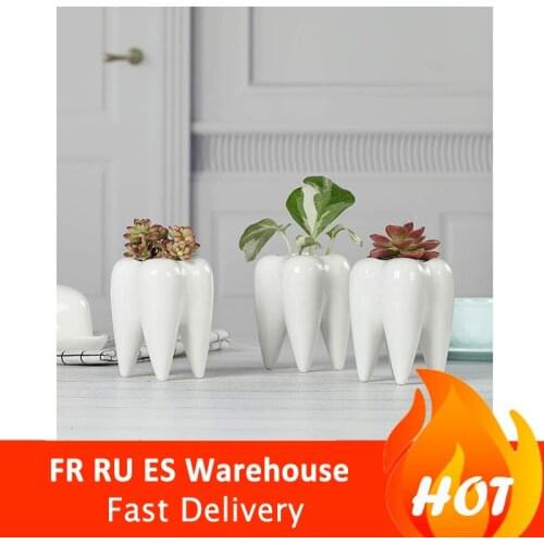 Teeth Shape Ceramic Flowerpot Innovation Modern Design White Ceramic Succulent Flower Pot Home Decoration Not Include Plants