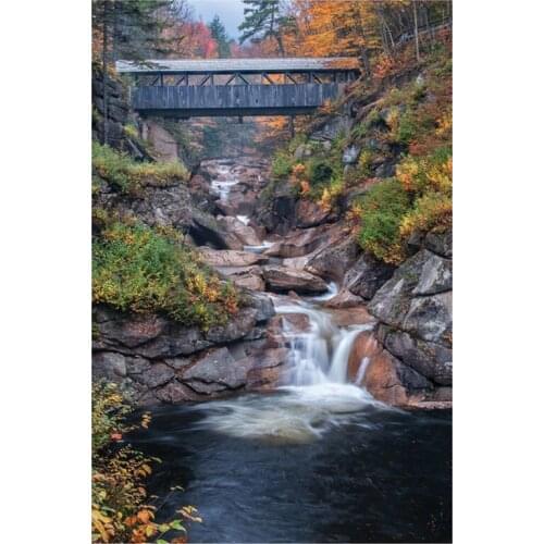 Autumn scenery 5D DIY Diamond Painting Cross Stitch Covered Bridge Jungle Diamond Embroidery Full Mosaic Home Decor Christmas