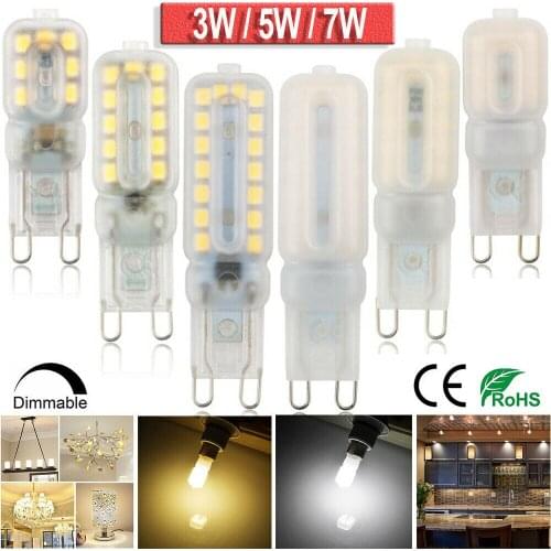SAFEBET Light Bulbs