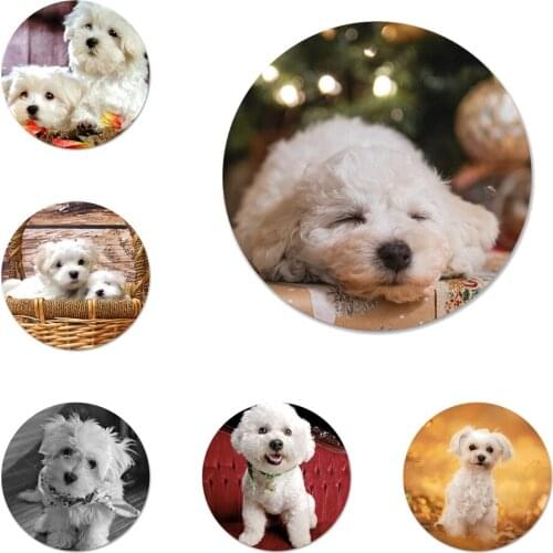 Animal Bichon frise dog Adorable Colored Drawing Badge Brooch Pin Accessories For Clothes Backpack Decoration gift