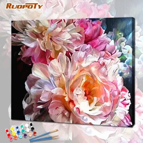 RUOPOTY Paint By Number 40 50