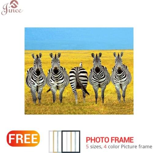 DIY 5D Diamond Painting Animal Zebra Cross Stitch Mosaic diamond embroidery Needlework Patterns Rhinestone paintings