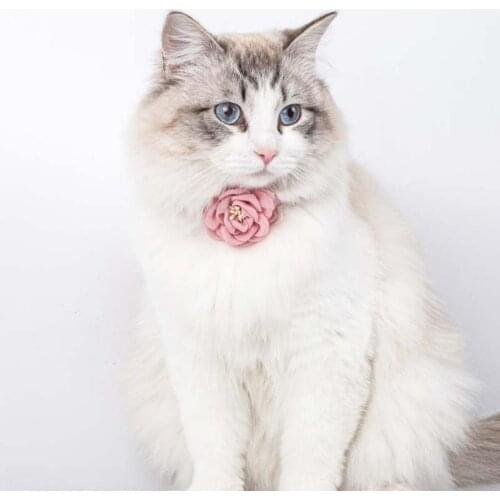 Pet Princess Collar Cat Dog Wedding Flower Necklace Wedding Party Christmas Dog Collar Puppy Pet Grooming Accessories