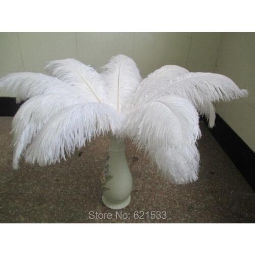 50pcs/lot!22-24inch 55-60CM White Ostrich Feather plumes for table centerpiece wedding centerpiece FREESHIPPING