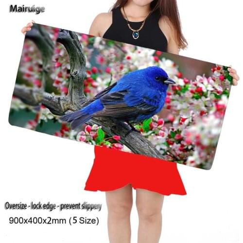 Mairuige Nature Birds Large Animal Plain Extended Water-resistant Anti-slip Rubber Gaming Mouse pad Desk Mat for Cs Go DOTA2