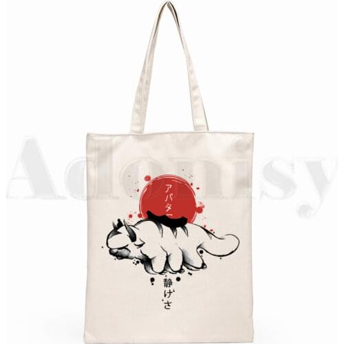 Avatar The Last Airbender Aang Appa Anime Badass New Art Canvas Bag Totes Simple Print Shopping Bags Girls Life Casual Pacakge