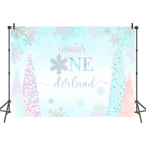 Winter One derland Photography Background Birthday Party Snowflake Bule Pink Backdrop Photo Booth Banner Decorations
