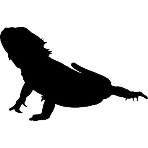12.9*8.3CM Funny Komodo Dragon Reptile Lizard Decor Car Stickers Vinyl C12-1198