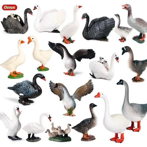 Oenux Simulation Farm Swan Goose Gaggle Duck Flock Action Figure Poultry Animal PVC Miniature Model Educational Toy Kids Gift
