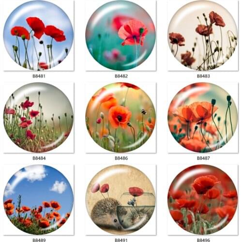 Red flower 10pcs mixed 12mm/18mm/20mm/25mm Round photo glass cabochon demo flat back Making findings B8481