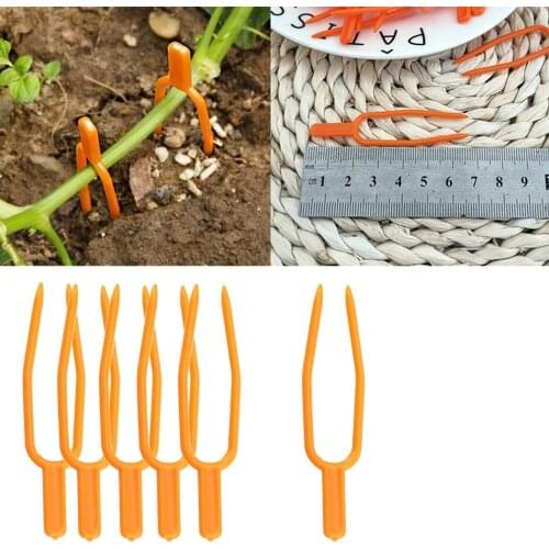 Garden tools 2000pc Plastic Quality Plant Clips Stolons fixing fastening Fixture clamp strawberry fork Farming Clip
