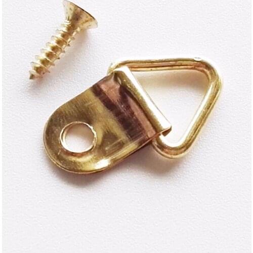 100pcs Golden Triangle D-Ring Hanging Picture oil Painting Mirror Frame Hooks Hangers With 100 Screws 10x20mm