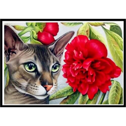 5D diamond painting full diamond kitty and rose round diamond mosaic pattern home decoration DIY handmade