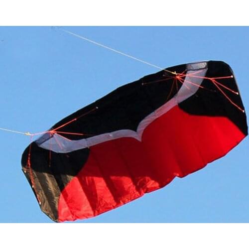 Professional 2m Stunt Dual Line Parafoil Kite With Line Power Braid Sailing Kitesurf Sports Beach